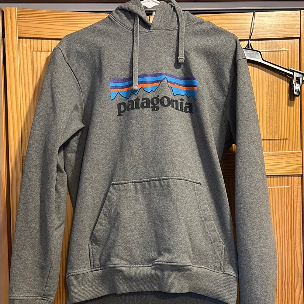 Patagonia Gray Men's Hoodie